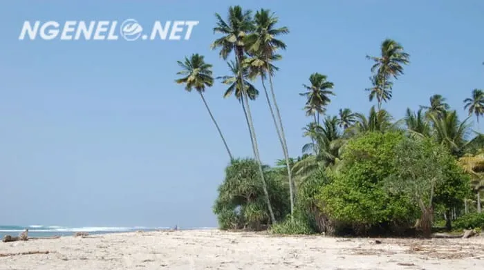 Pantai Dayang Pandan Kaur Selatan, Keindahan Alami yang Menawan
