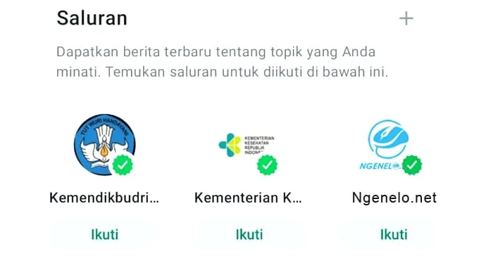 Ikuti Langkah Ini Cara Membuat Saluran di WhatsApp.