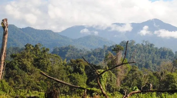 Exploring the Natural Beauty of Kaur Regency, Bukit Raje Mendare.