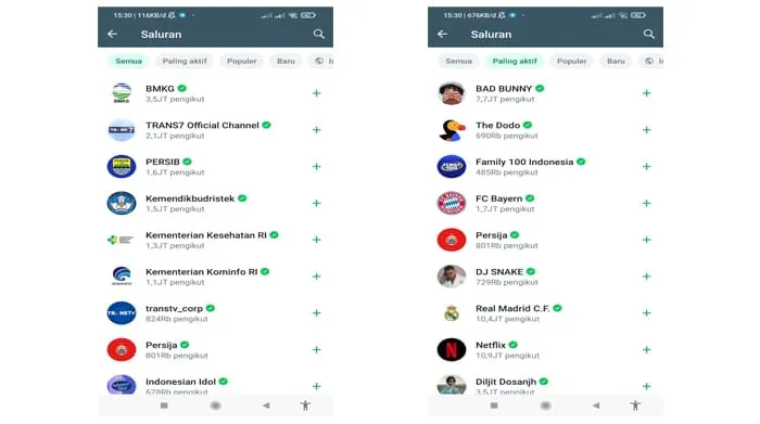 Ini Penyebab Fitur Saluran WhatsApp Belum Tersedia