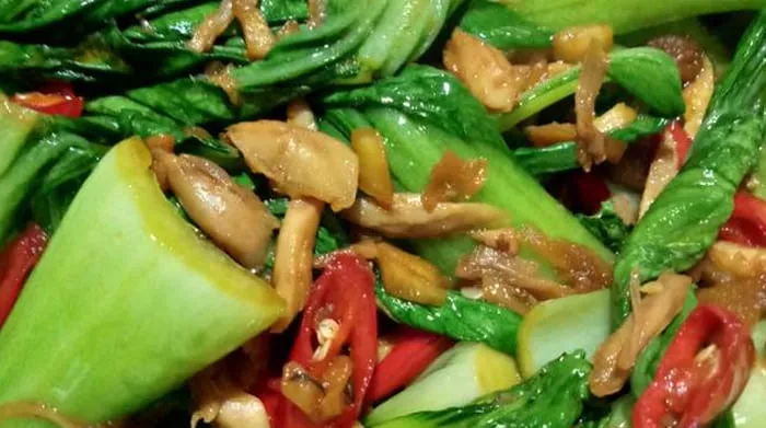 Menggoda Selera! Resep Tumis Ayam Pokcoy yang Sederhana