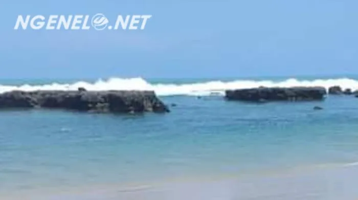 Menggali Keindahan Tersembunyi di Pantai Bunga Karang Kaur