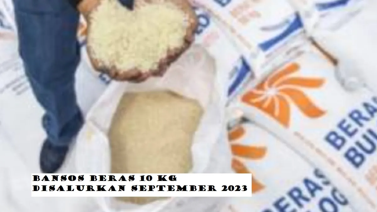 TERBARU! Ini Daftar Bansos Cair September 2023, Ada Bansos Beras 10 Kg