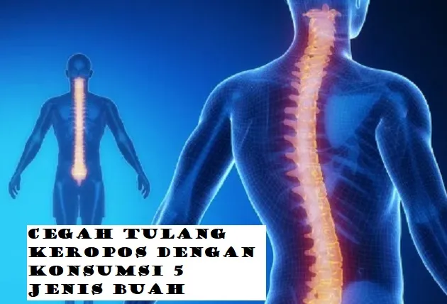 Ini Dia 5 Buah Ajaib Ampuh Cegah Tulang Keropos