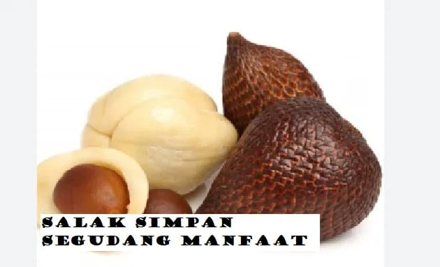 Salak Si Buah Ajaib, Buahnya Bikin Ibu Hamil Makin Fit, Daunnya pun Beri Manfaat