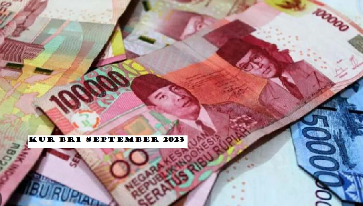LANGSUNG CAIR! KUR BRI September 2023 Pinjaman Rp20.000.000, Cicilan Rp400 Ribuan