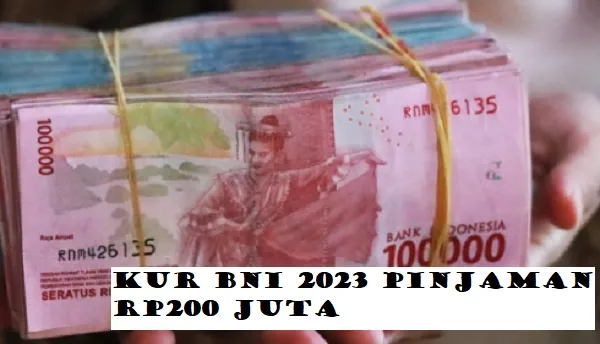Syarat dan Cicilan Lengkap KUR BNI September 2023 Rp200 Juta