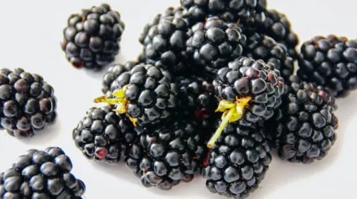 Buah Blackberry, salah satu Daftar Nama Buah 
