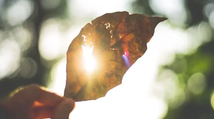 12 Tips Kesehatan untuk Cuaca Panas yang Ekstrem. foto: pexels