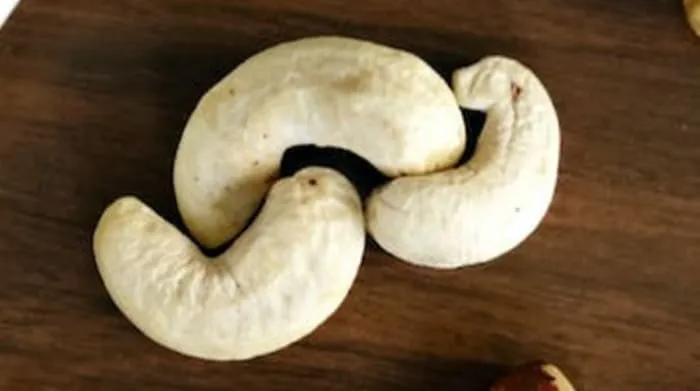 Manfaat Kacang Jambu Monyet