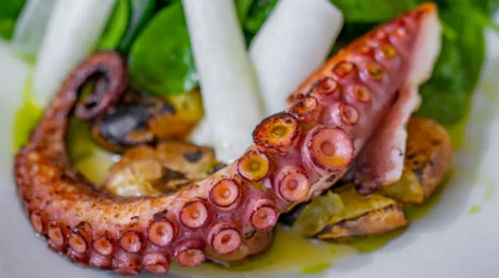 San Nakji - Gurita Hidup dari Korea, salah satu kuliner paling bahaya di dunia.