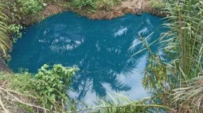 Warga menemukan danau biru di tengah perkebunan sawit Desa Talang Boseng, Bengkulu Tengah, Foto: Dok