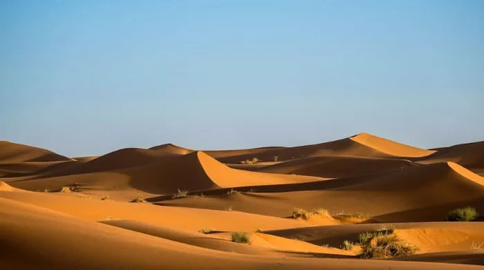 Kisah Luar Biasa dan Kecerdasan Abu Nawas. foto: pexels