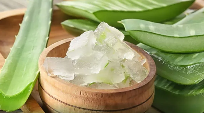 Manfaat lidah buaya