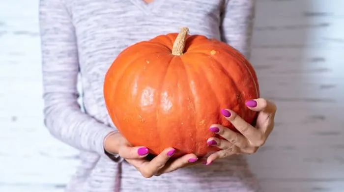 Waluh Labu Sebagai Makanan Pendamping ASI