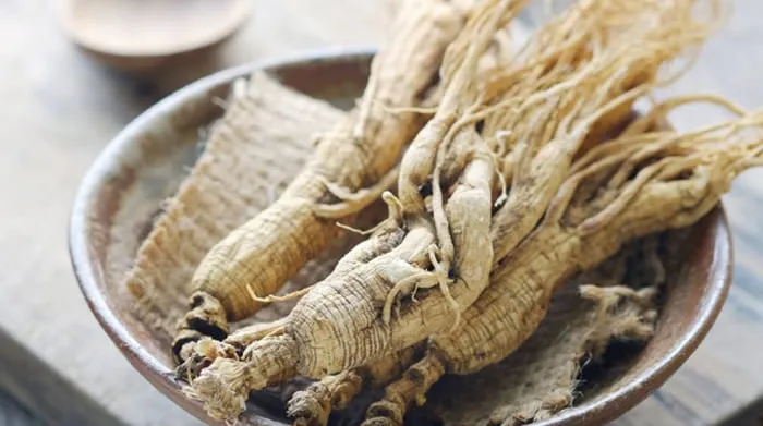 Manfaat dan Kandungan Ginseng si tanaman ajaib penagkal stres.