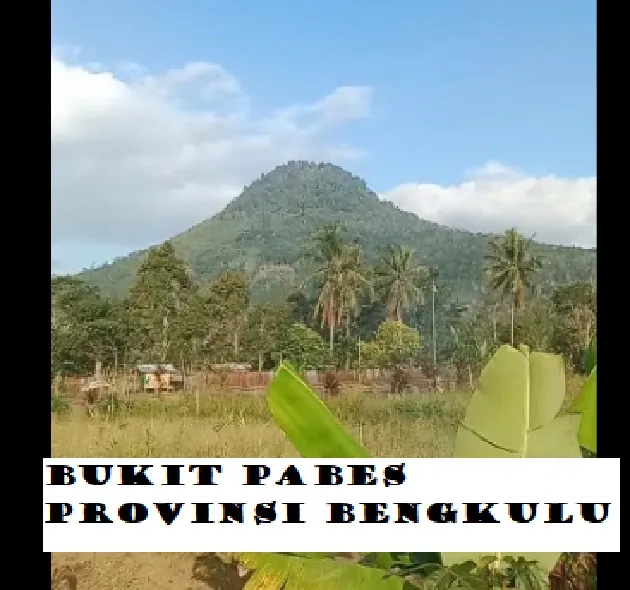 Surga Tersembunyi: Bukit Pabes Lebong-Bengkulu, jadi Spot Favorit Paralayang
