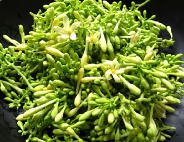 Segudang Manfaat Bunga Pepaya Buat Tubuh, Jangan Dimakan Mentah Ya