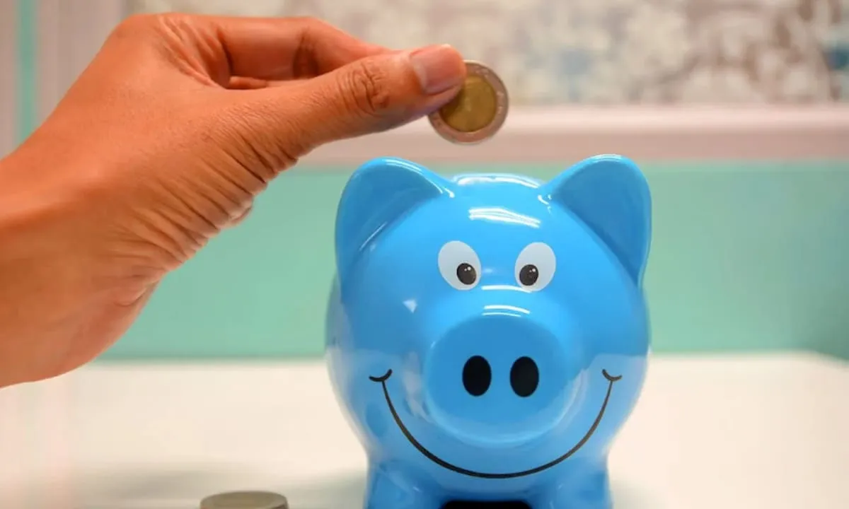 Langkah-langkah Praktis Membangun Dana Darurat. foto: pexels