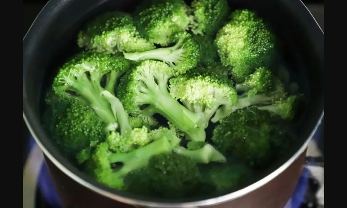 Dalam Journal of Nutritional Science, sayuran brokoli dapat menangkal kanker. foto: pexels