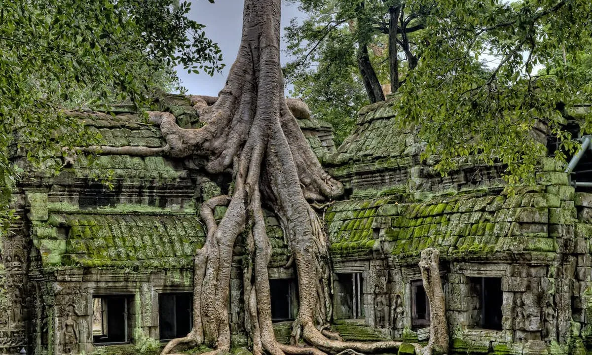 Wisata Religi Kuil Ta Prohm, Kamboja. foto: pexels