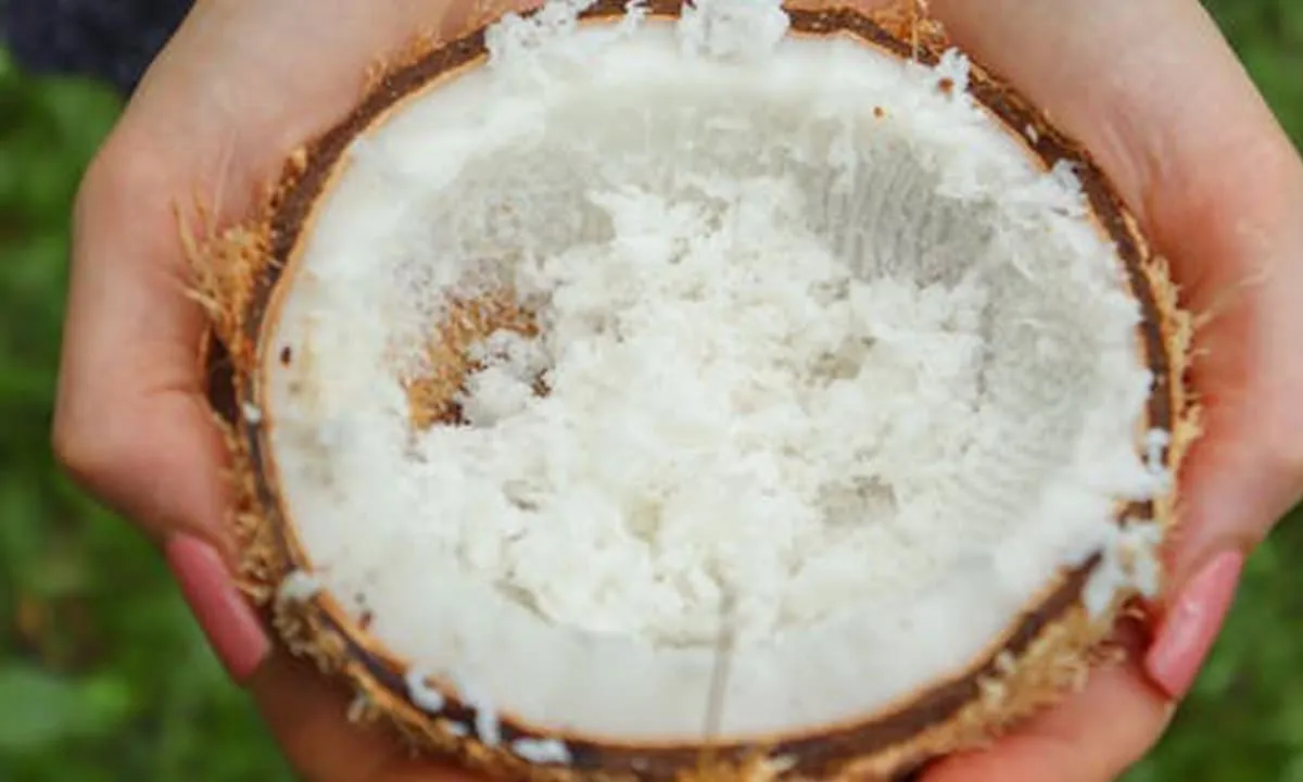 Kelapa Parut adalah salah satu sumber serat tinggi untuk pencernaan optimal. foto: pexels