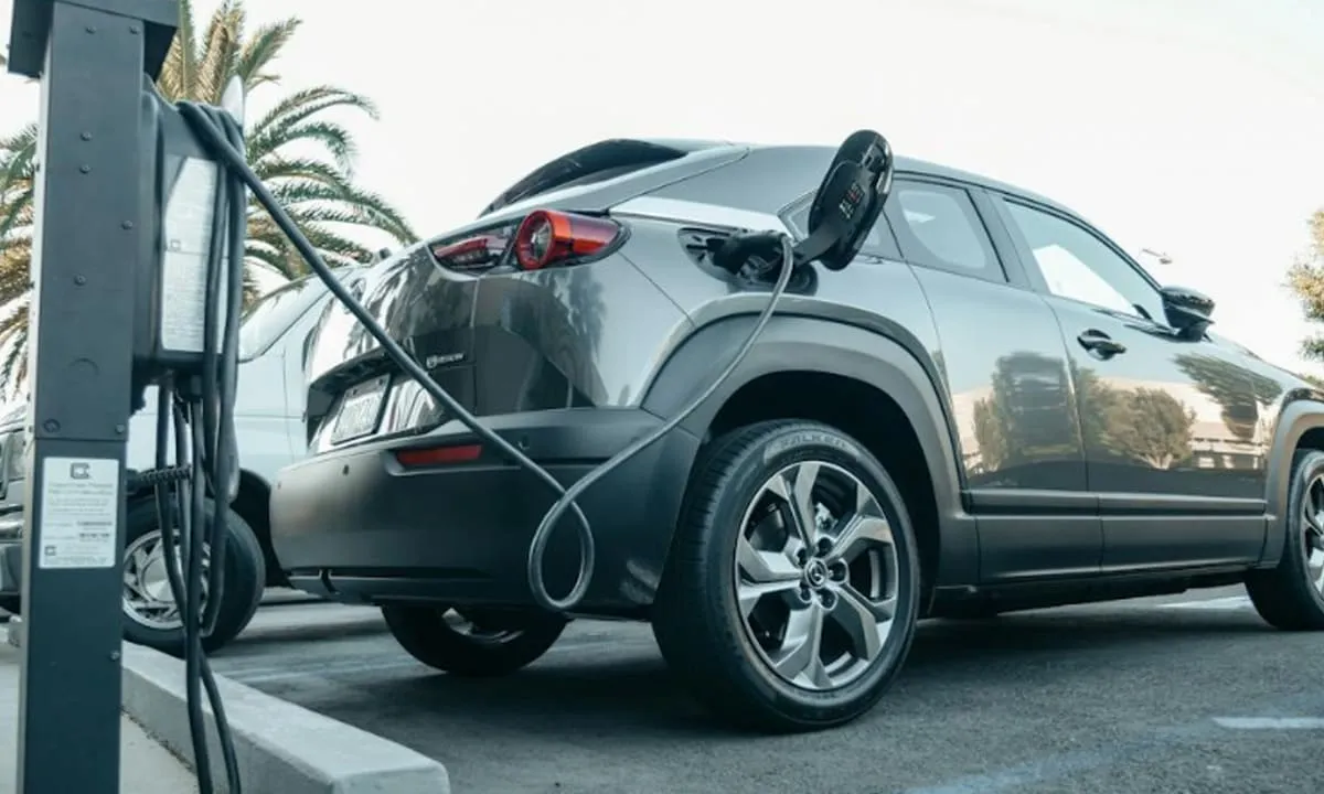 Dengan memilih mobil listrik yang tepat, Anda tidak hanya dapat mengurangi jejak karbon. foto: pexels