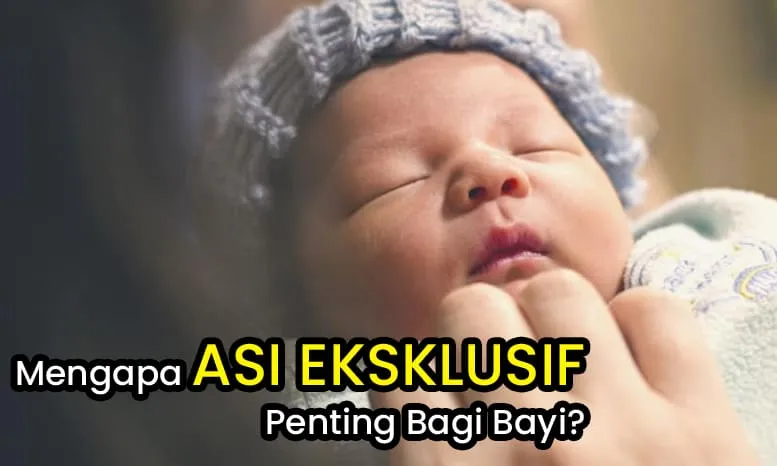 ASI Eksklusif Penting Bagi Bayi