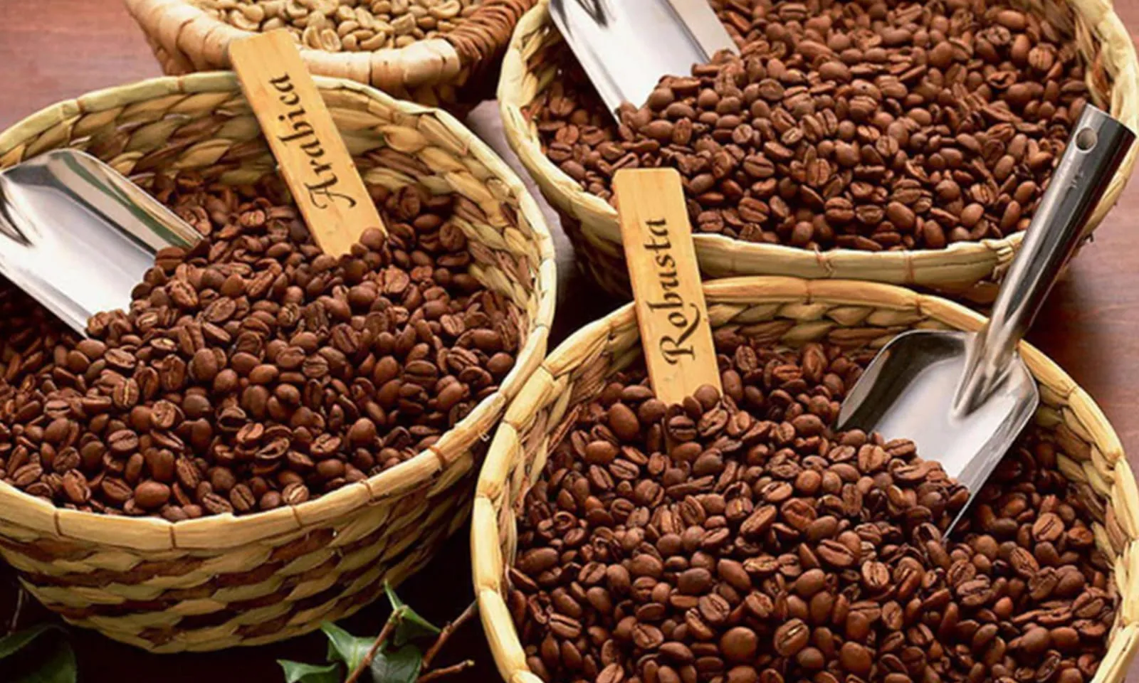 Jenis Kopi di Indonesia