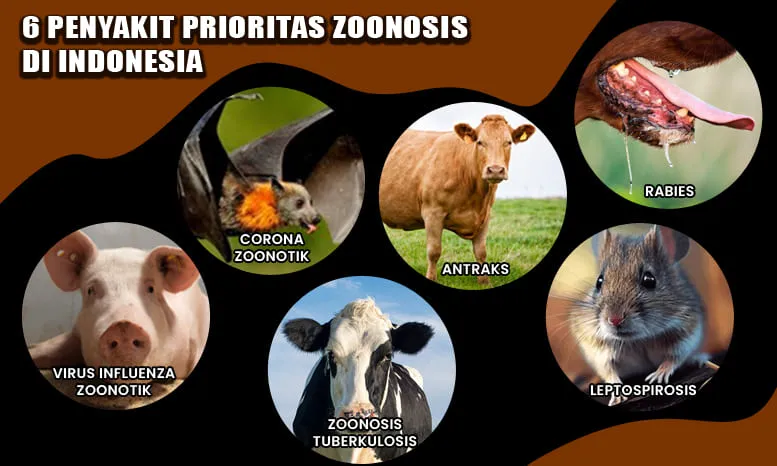 6 Penyakit Prioritas Zoonosis di Indonesia