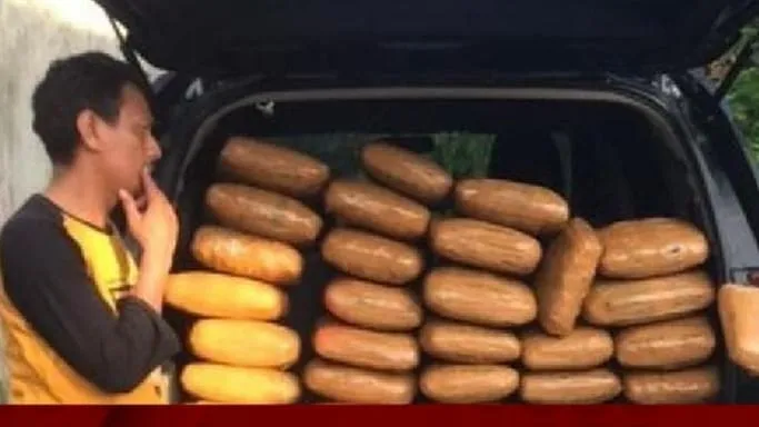 Polda Sumbar Gagalkan Peredaran 48 Kg Ganja di Sumatera