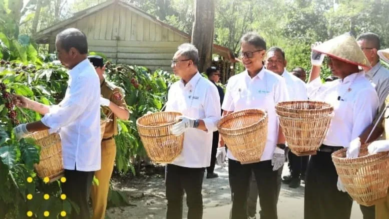 Presiden Jokowi bersama Menteri Pertanian Andi Amran Sulaiman melakukan kunjungan ke perkebunan kopi