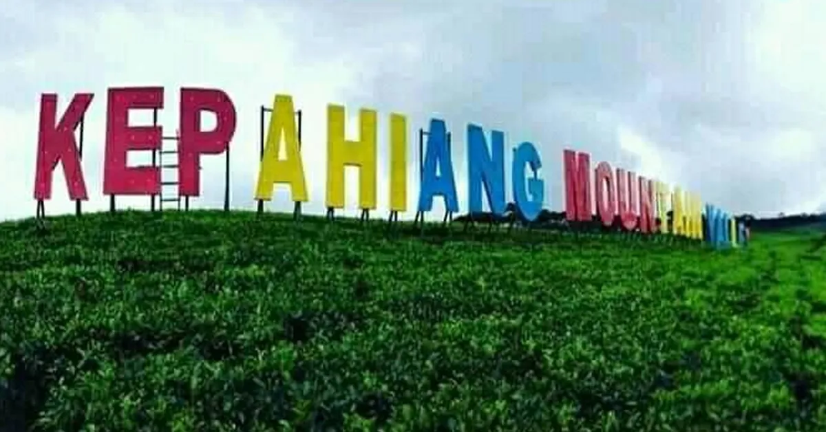 Salah satu wisata andalan Disparpora Kepahiang adalah kebun teh Kabawetan.