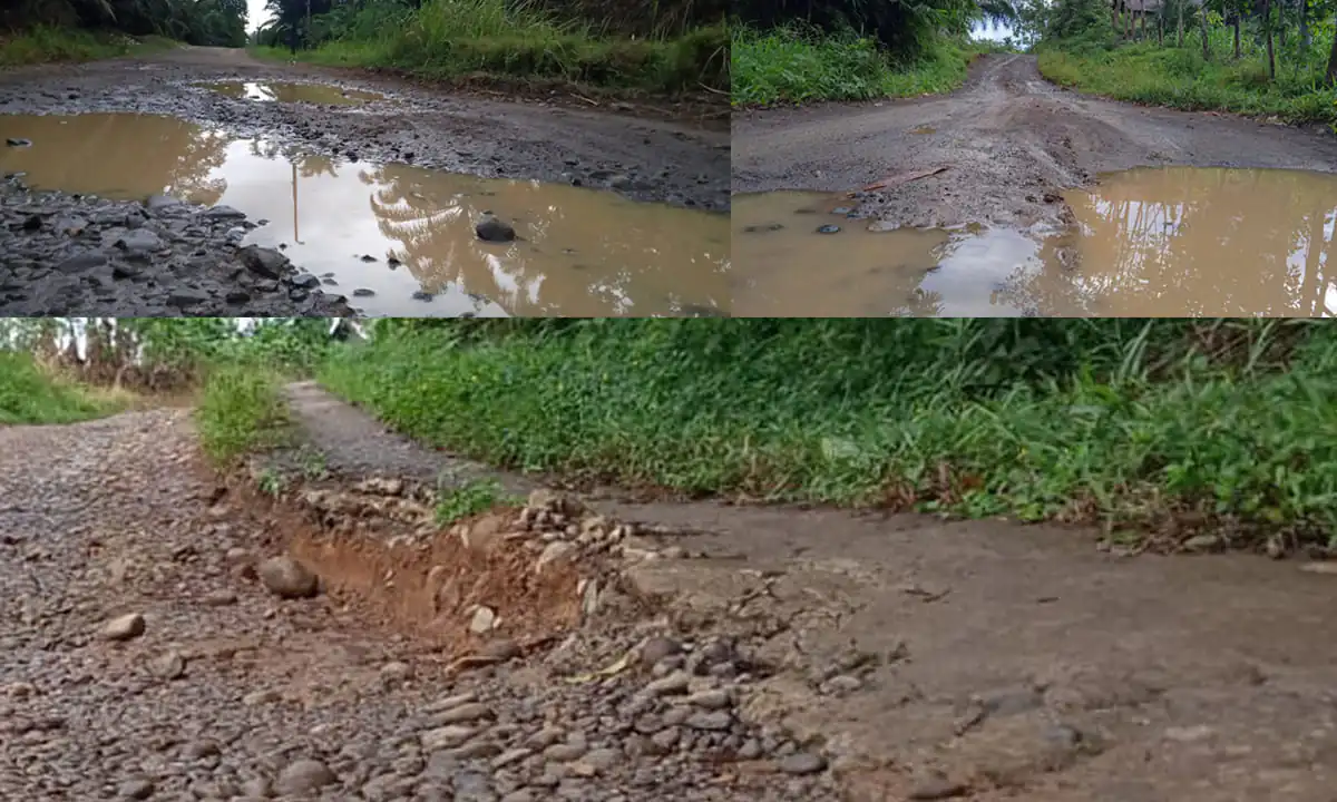 Jalan Desa Tanjung Harapan yang tak tersentuh pembangunan sejak di bangun era presiden Soeharto - Ngenelo.net