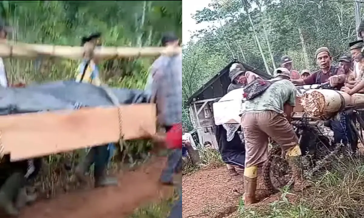 Miris, Warga Desa di Kepahiang Tandu Jenazah pakai bambu kemudian dilanjutkan dengan sepeda motor, ini karena kondisi jalan yang tidak bisa dilalui.