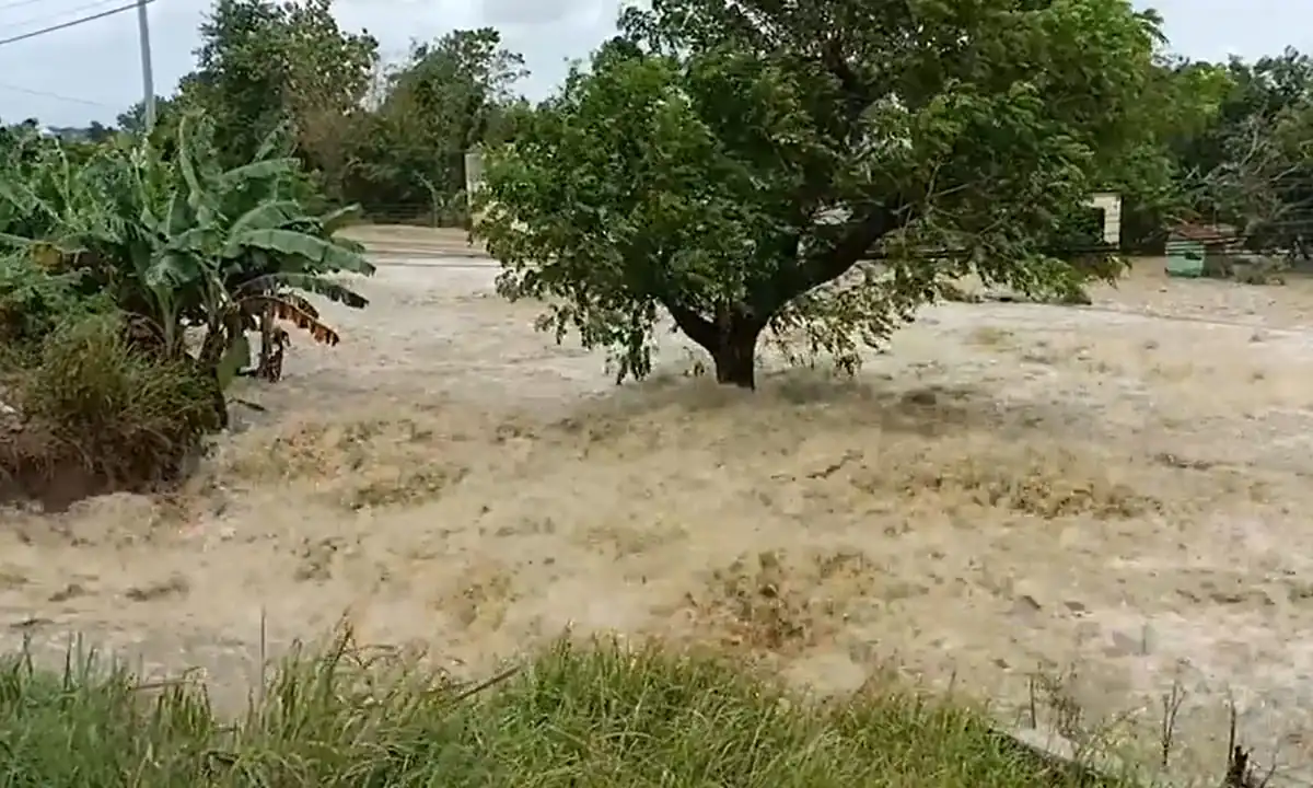 Tanggul Jebol di Demak mengakibatkan banjir melanda tiga desa