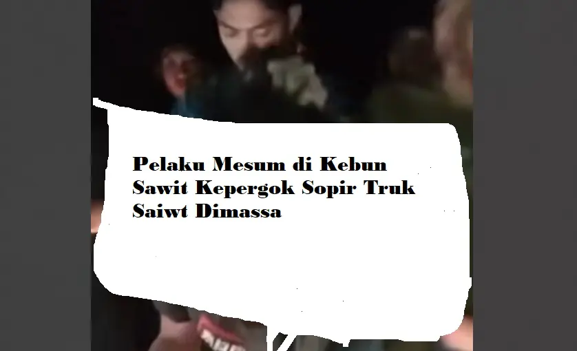 Paksa Pacar Berbuat Mesum di Kebun Sawit, Begini Nasib Naas Dialami Bujang di Seluma - Bengkulu
