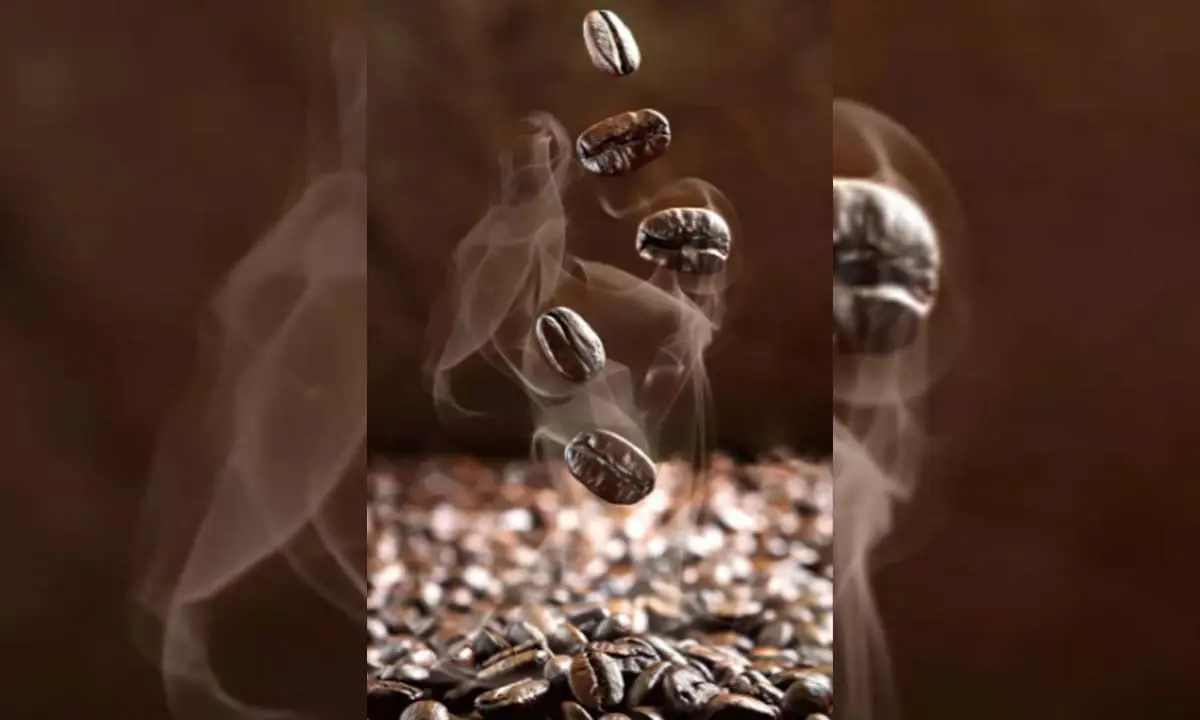 Negara Turki, Siberia dan Vietnam punya trend kopi dengan garam - Ngenelo.net