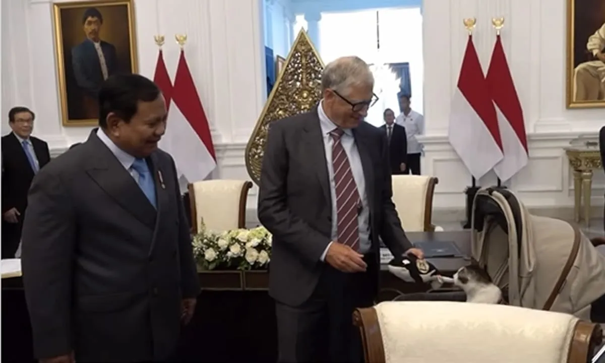 Pertemuan Bill Gates Prabowo. Bobby Kertanegara, kucing kesayangan Presiden Prabowo saat mendapatkan hadiah boneka ikan paus dari Bill Gates.